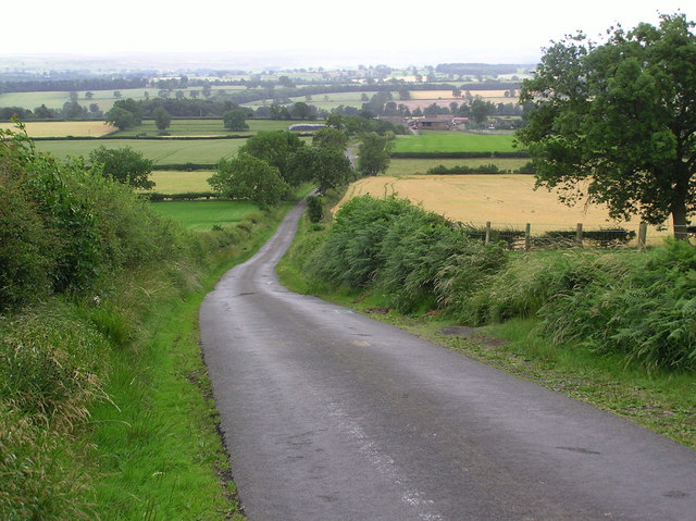 A view of green fields in Mount Eff, Marwood Parish