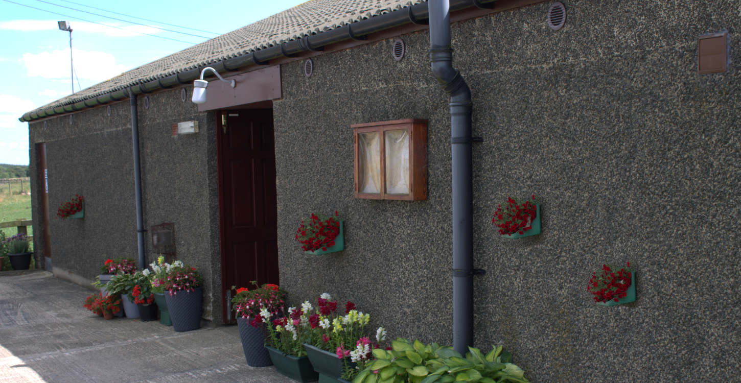 Outside the Marwood Social Club with potted flowers